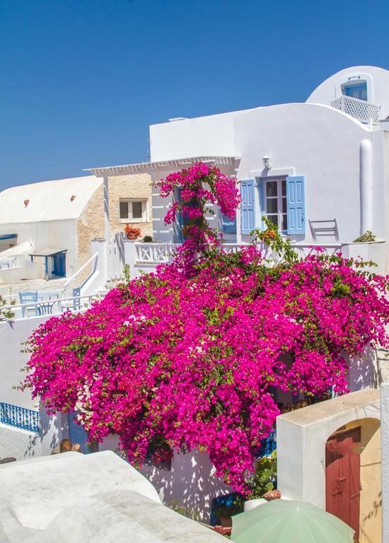 Evilio Houses Oia  Exterior photo